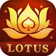 teen patti master tricks 20 download
